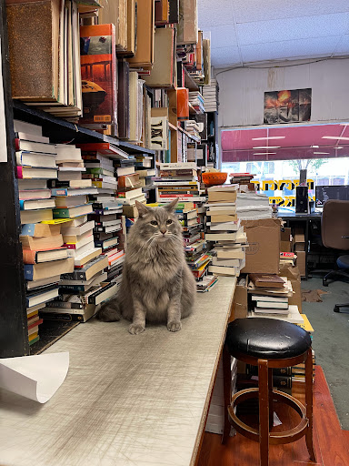 Used Book Store «Recycle Bookstore», reviews and photos, 1066 The Alameda, San Jose, CA 95126, USA