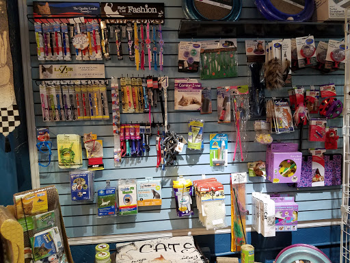 Pet Supply Store «Dog-Mania & Cats», reviews and photos, 37846 Meridian Ave, Dade City, FL 33525, USA