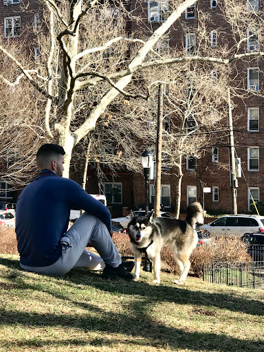 Park «Doughboy Park», reviews and photos, Woodside Ave, Woodside, NY 11377, USA