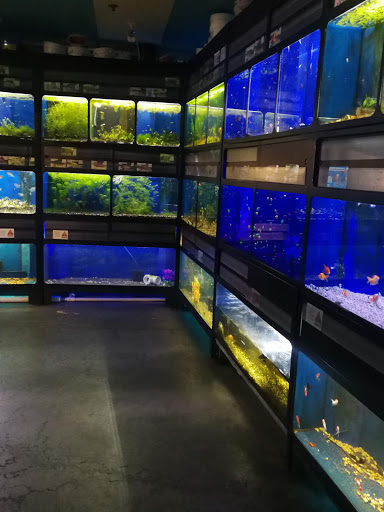 Pet Store «Critter Cabana - Wilsonville», reviews and photos, 8406 SW Main St #200, Wilsonville, OR 97070, USA