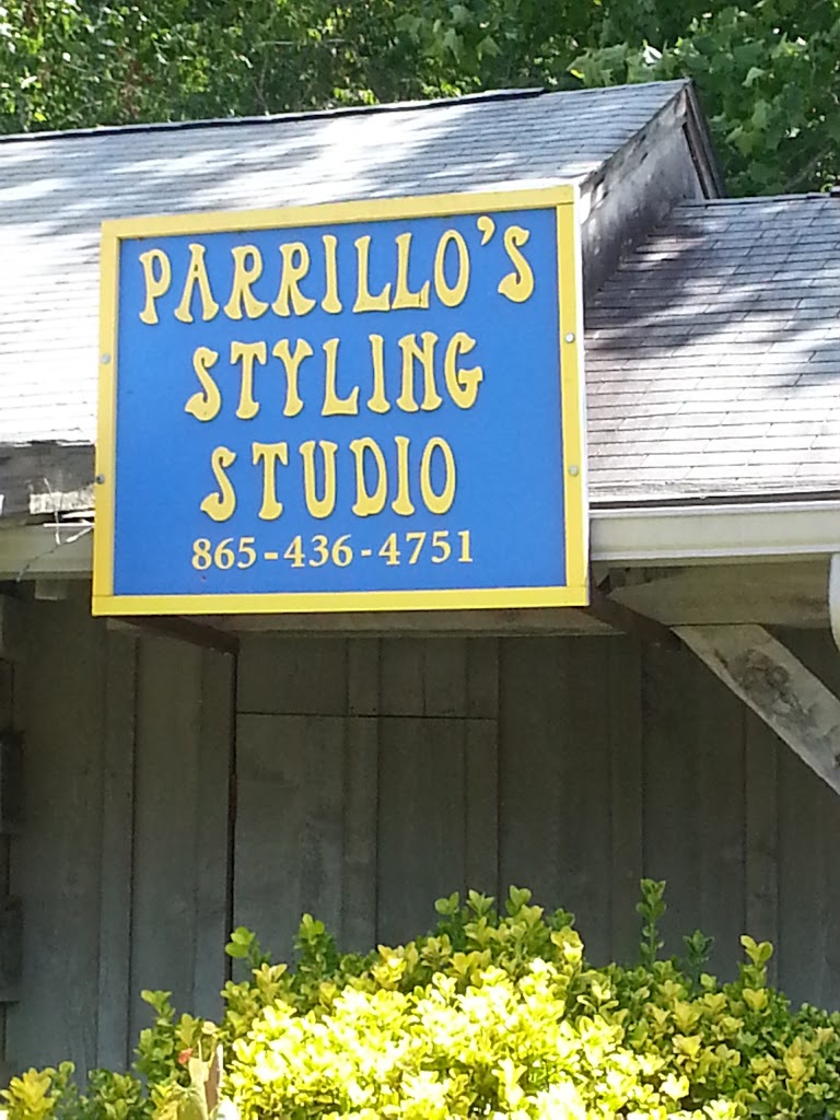 Parrillo's Styling Studio 37738
