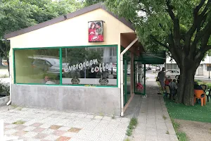 Coffee bar Evergreen image