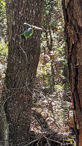 Nature Preserve «Gator Creek Reserve», reviews and photos, 9725 US Hwy 98 N, Lakeland, FL 33809, USA