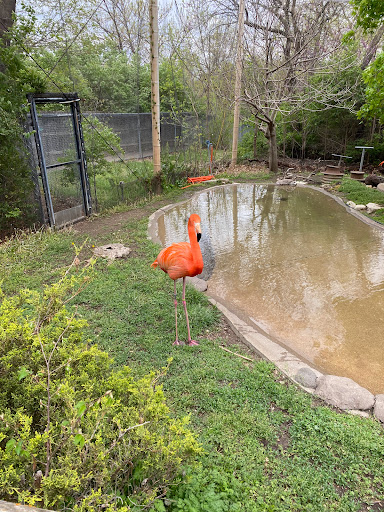 Zoo «Sunset Zoo», reviews and photos, 2333 Oak St, Manhattan, KS 66502, USA