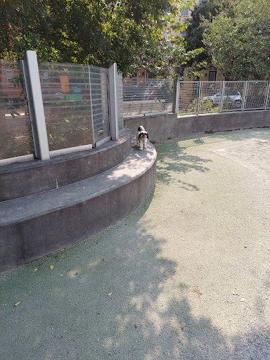 Dog Park «Clarendon Dog Park», reviews and photos, 1299 N Herndon St, Arlington, VA 22201, USA