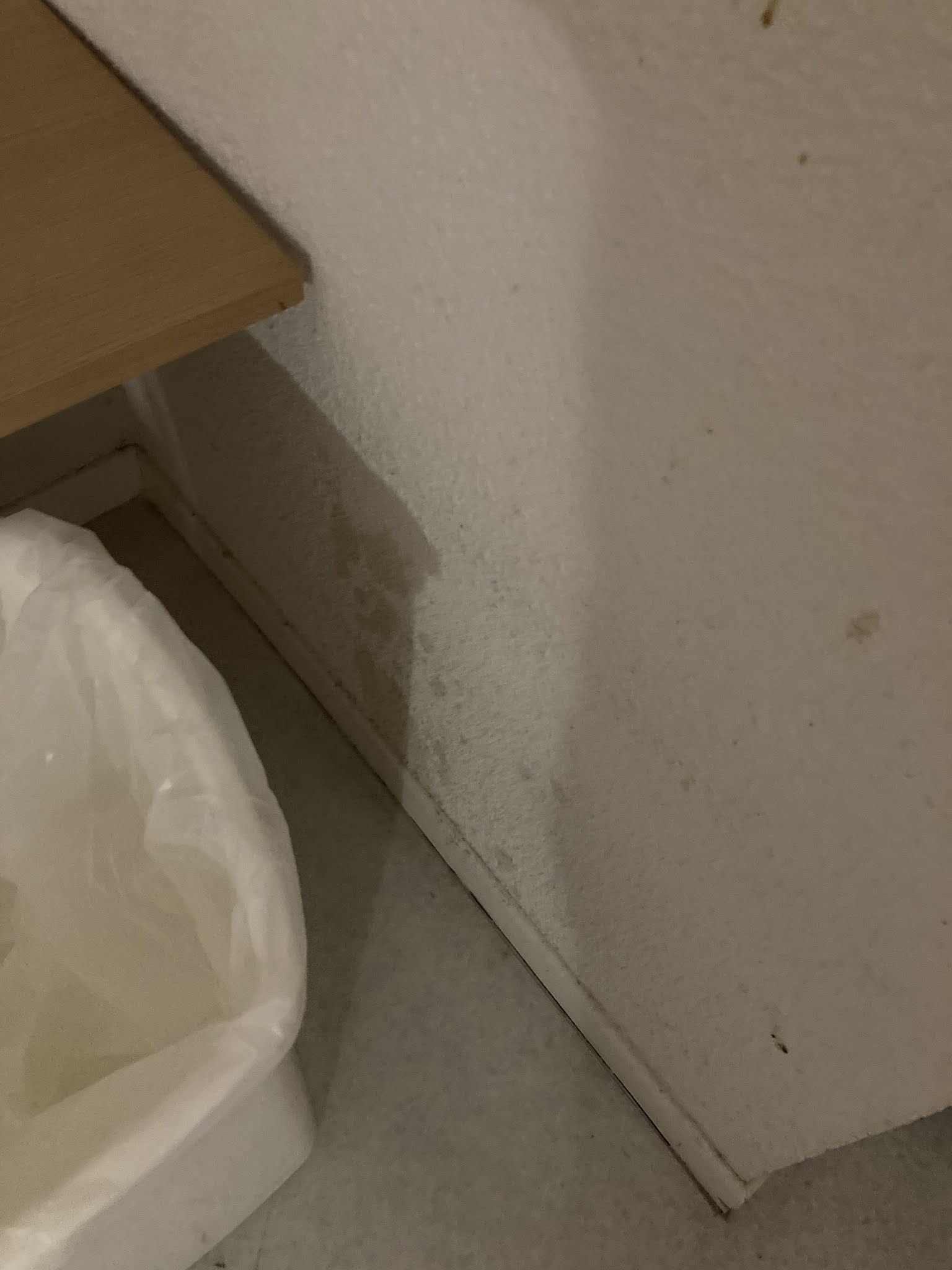 Photo n° 14 de l'avis de Sylvain.. fait le 18/04/2021 à 20:07