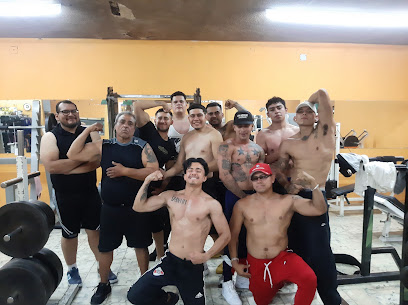 Olympus Gym - C. Esteban Alatorre 3155, Libertad, 44750 Guadalajara, Jal., Mexico