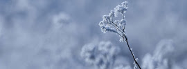 Phoenix Acupuncture - Photo 4 - Car repair in South Orange Village, NJ, Newark