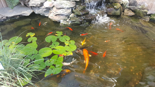 Greenhouse «Wentworth Greenhouses», reviews and photos, 141 Rollins Rd, Rollinsford, NH 03869, USA