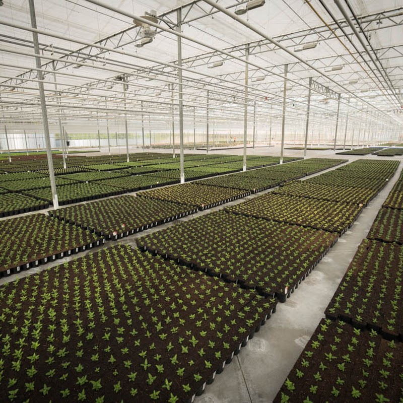 Zealandia Horticulture Ltd