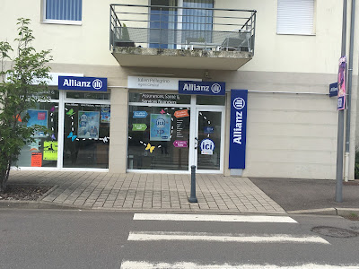 Allianz Assurance AUDUN LE TICHE - Julien PELLEGRINO à Audun-le-Tiche