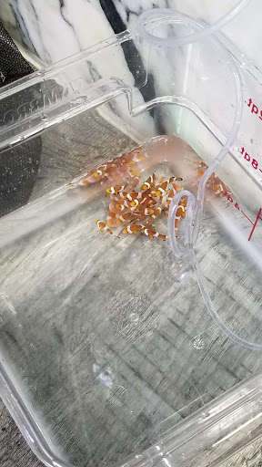 Barber Shop «Southland Barber Styling Shop», reviews and photos, 983 W State Rd 84, Fort Lauderdale, FL 33315, USA