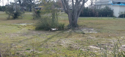 Park «Al Helms Dog Park», reviews and photos, 1022 Balboa Ave, Panama City, FL 32401, USA