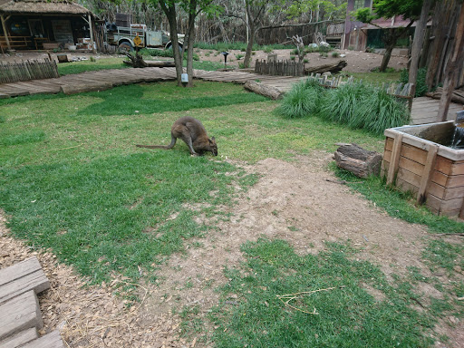 Zoológico San Bernardo
