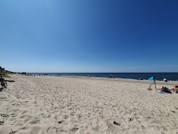 Giruliai beach II'in fotoğrafı - rahatlamayı sevenler arasında popüler bir yer