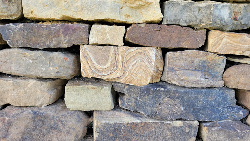 Nature Preserve «Shaw Nature Reserve», reviews and photos, 307 Pinetum Loop Rd, Gray Summit, MO 63039, USA