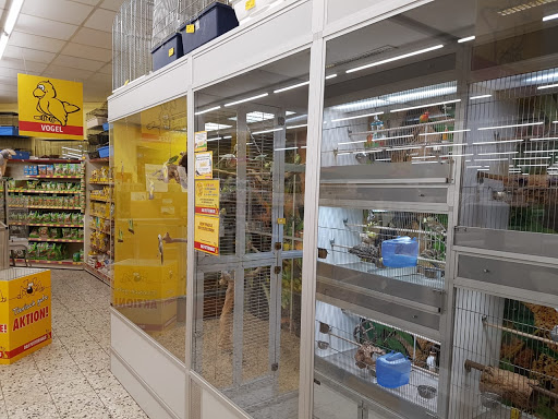 DAS FUTTERHAUS - Hameln unter Hamelin, 