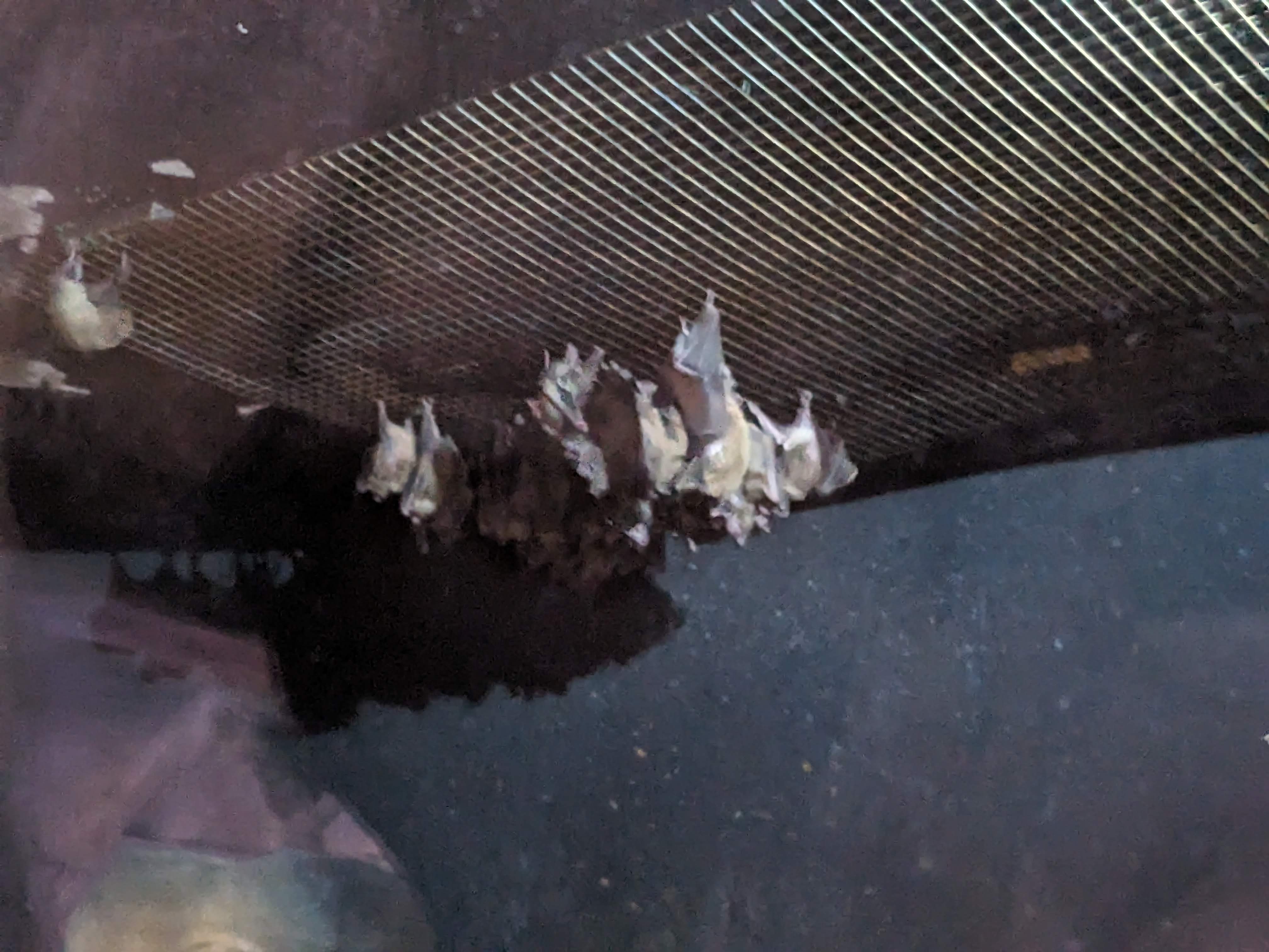 Photo n° 2 de l'avis de Ophélie.a fait le 12/08/2023 à 18:00