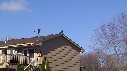 Park «Elm Creek Park Reserve», reviews and photos, 12400 James Deane Pkwy, Maple Grove, MN 55369, USA