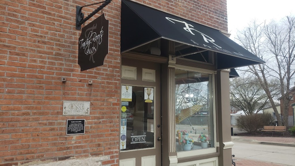 Trashy Roots Salon Washington, MO 63090 Services and Reviews