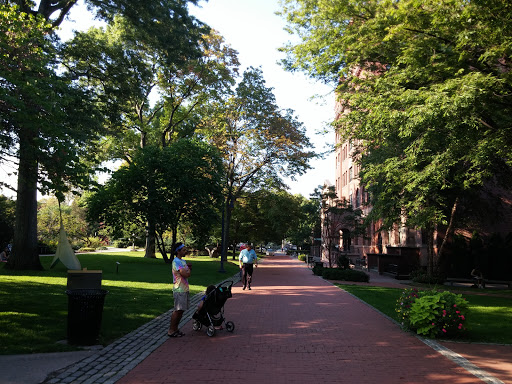 Private University «Pratt Institute», reviews and photos