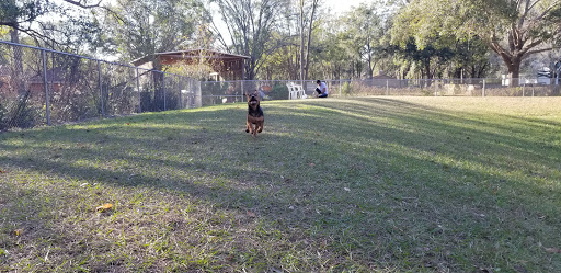 Park «Lutz Dog Park», reviews and photos, 122 1st Ave SW, Lutz, FL 33548, USA