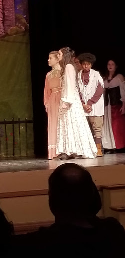 Performing Arts Theater «The Schwartz Center for the Arts», reviews and photos, 226 S State St, Dover, DE 19901, USA