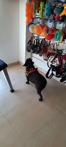 Clínica Veterinaria Carme Reynés en Sa Pobla