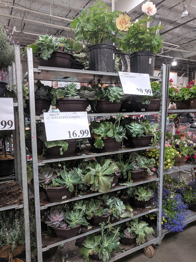 Warehouse store «Costco Wholesale», reviews and photos, 45460 Market St, Shelby Charter Township, MI 48315, USA