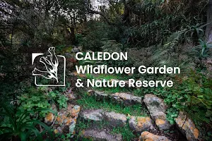 Caledon Wildflower Garden and Nature Reserve image