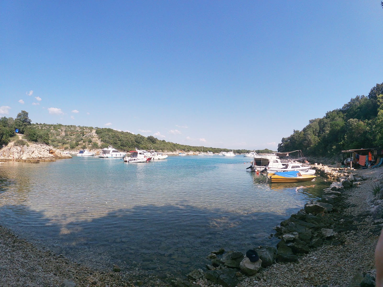 Zdjęcie St. George wild beach z poziomem czystości wysoki