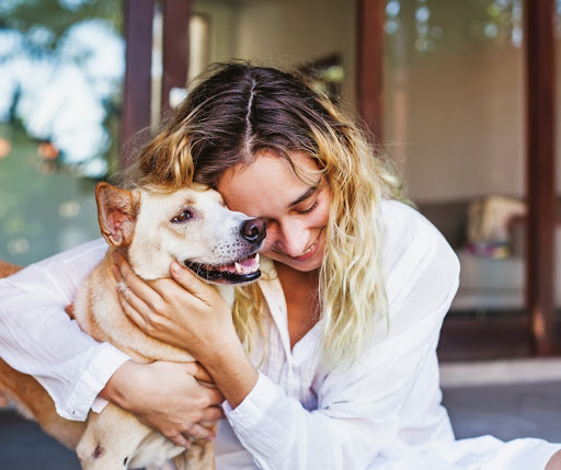 Ramsay Animal Clinic