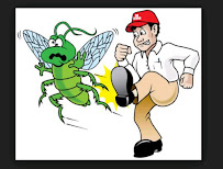 The Bug Guy LLC - Photo 2 - Car repair in , Raleigh