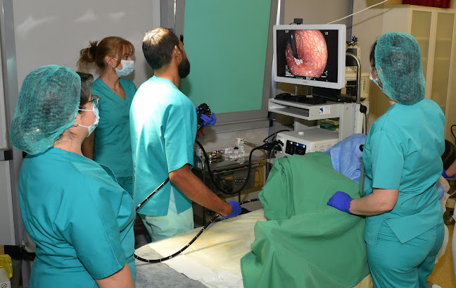 Nord Muntenia Hospital - Doctor