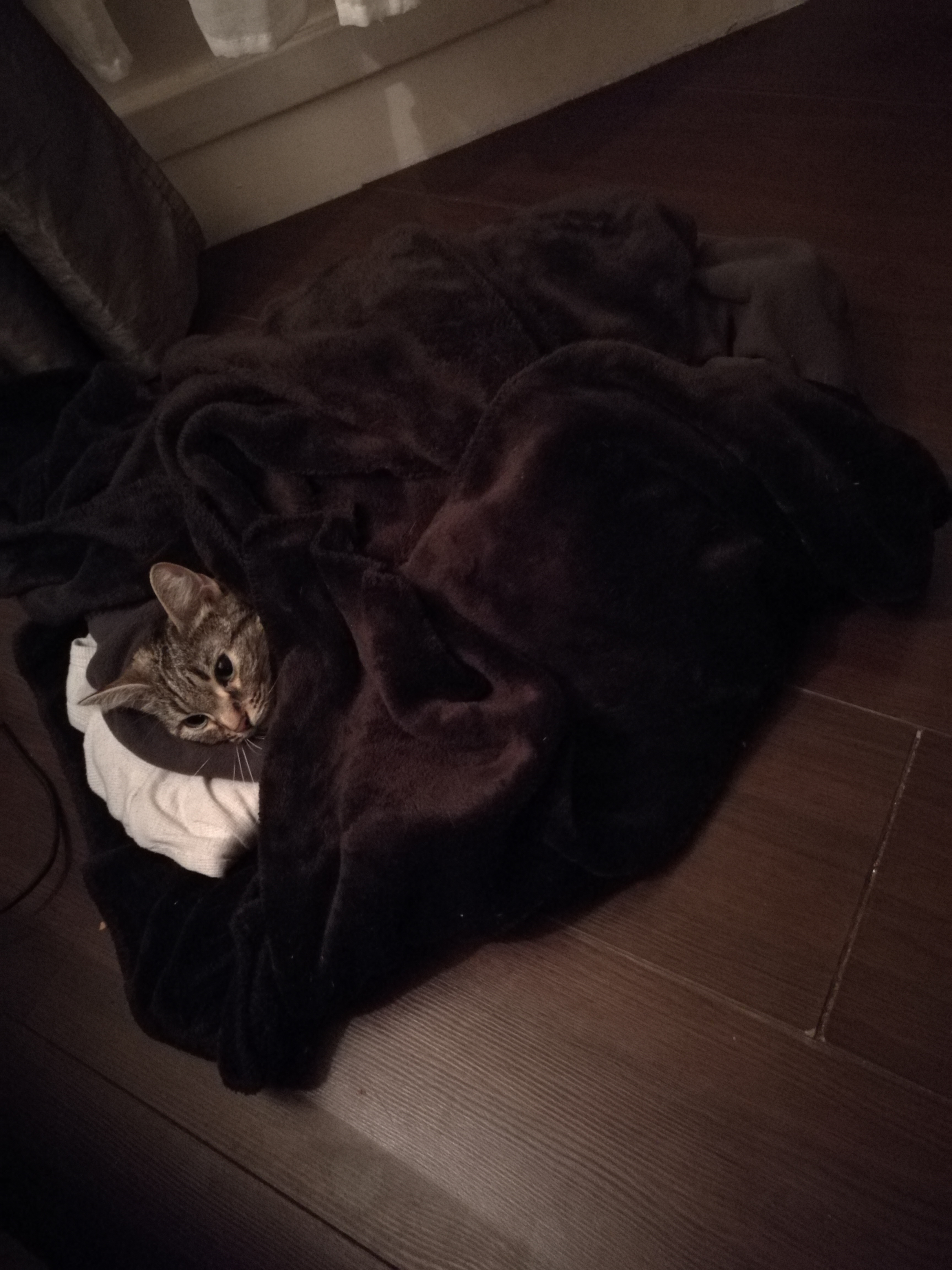 Photo n° 1 de l'avis de Nikita.e fait le 02/02/2018 à 13:54