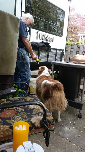 Pet Supply Store «Petco Animal Supplies», reviews and photos, 4450 Commercial St SE #150, Salem, OR 97301, USA