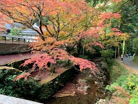 鰐淵寺