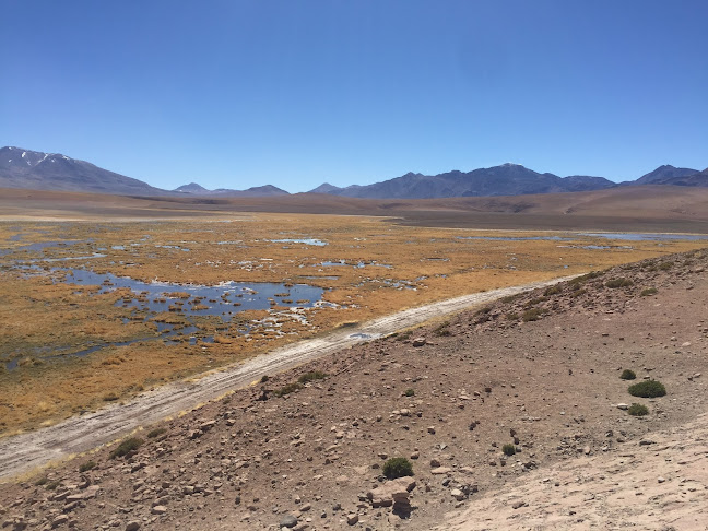Opiniones de Chakana Expediciones en San Pedro de Atacama - Agencia de viajes