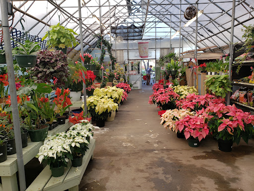 Hardware Store «Hagan Ace», reviews and photos, 3050 US-1, St Augustine, FL 32086, USA