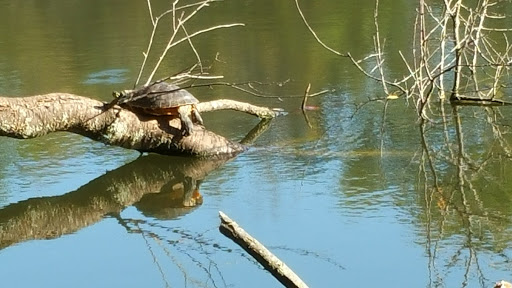 Nature Preserve «Fountain Rock Park & Nature Center», reviews and photos, 8511 Nature Center Place, Walkersville, MD 21793, USA