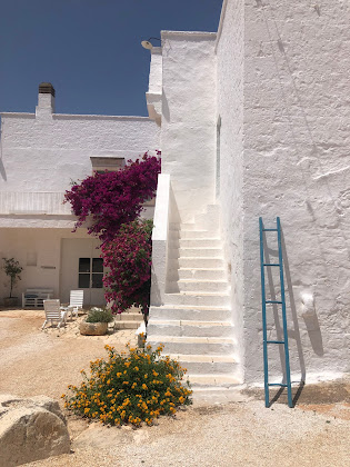 Extérieur Vacances à la ferme Mozzone Masseria - Agriturismo Montalbano di Fasano 72016 Montalbano