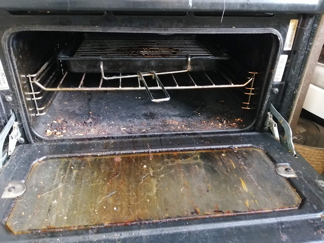Oven Detailing - House cleaning service
