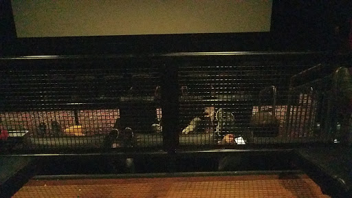 Movie Theater «Regal Cinemas Hamburg Pavilion 16 & RPX», reviews and photos, 1949 Star Shoot Pkwy, Lexington, KY 40509, USA