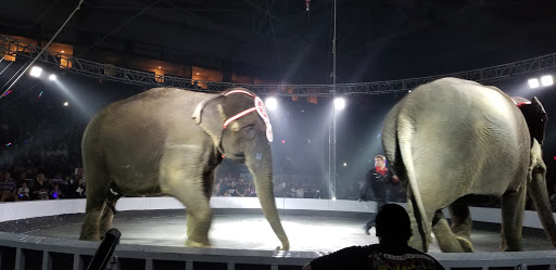 Arena «Germain Arena», reviews and photos, 11000 Everblades Parkway, Estero, FL 33928, USA