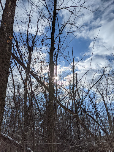 Nature Preserve «Scio Woods Preserve», reviews and photos, Scio Church Rd, Ann Arbor, MI 48103, USA