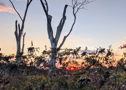 State Park «Monmouth Battlefield State Park», reviews and photos, 16 Business Route 33, Manalapan Township, NJ 07726, USA