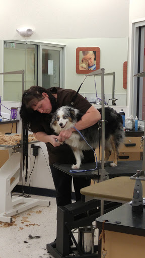 Pet Supply Store «Petco Animal Supplies», reviews and photos, 5190 Borgen Blvd #201, Gig Harbor, WA 98332, USA