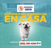 Fumigaciones Carpio - Photo 6 - Car repair in Rancho Cucamonga, CA, San Bernardino