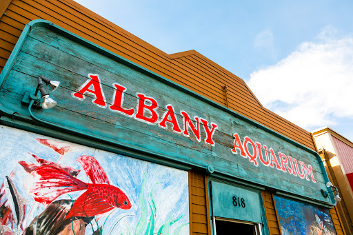 Tropical Fish Store «Albany Aquarium», reviews and photos, 818 San Pablo Ave, Albany, CA 94706, USA