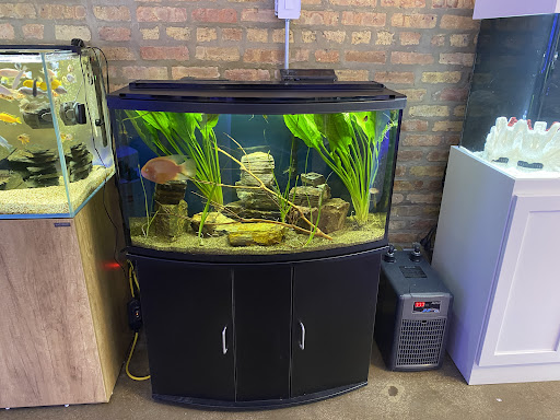 Tropical Fish Store «Old Town Aquarium», reviews and photos, 1538 N Wells St, Chicago, IL 60610, USA